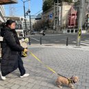 옐레드 문래역점 이미지