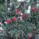 원과네모 이미지