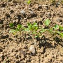 봄요양병원 이미지