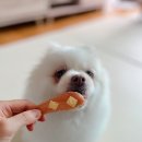 와글리테일 이미지