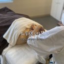 스파보네르(spa bonheur) | 수성구 마사지 스파보네르 엄마 대구 피부관리 효도 선물