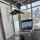 외도센터-1 Daum카페