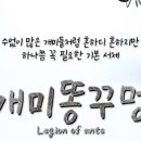 개미똥구멍 이미지