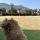 멍아일랜드 이미지