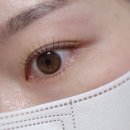 [속눈썹] 꼼꼼한 원장님의 솜씨! ‘브로우숨’ 효자동 속눈썹펌 내돈내산후기