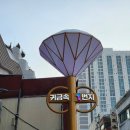 현대동구서비스(주) | [광주 충장로 예물.웨딩링] "삼화보석" 현대코아 귀금속전문도매상가_내돈내산 결혼반지 계약후기