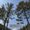 소호목장 | 강원도 가볼만한 곳 대관령 양떼목장 예매방법 방목시기 입장료할인