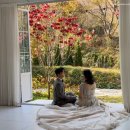 냇가한옥 | [결혼] 웨딩촬영, 토탈스튜디오 이포토에세이 촬영 후기(스튜디오 촬영, 배경, 시설) + 꿀팁