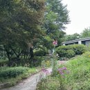 원주자연치유농가민박 | 원주 맛집 농부가｜내돈내산 나만의 미슐랭 팜투테이블 뽕잎밥 한정식 코스요리｜원주 당일치기 여행...