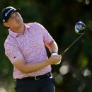 리코(rico) 이미지