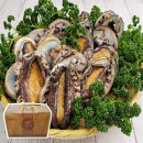 완도9호 이미지