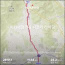 이화매점