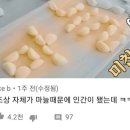 종로계림닭도리탕원조 역삼점