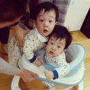 서준 Daum카페