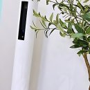 날씬한내몸37도 | 드디어 나도 다이어트 성공 각 잡았다? 날씬한내몸37도 솔직 후기