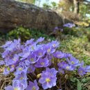 의정부정보도서관 이미지