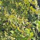 바다세상민박 이미지