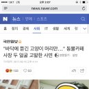 "바닥에 뜯긴 고양이 머리만…" 동물카페 사장 두 얼굴 고발한 사연(사진 주의 모자이크안되어있어) 이미지