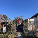 스테이 인 블루 이미지