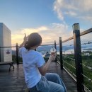 신지면사무소 | 장기 템플스테이 신흥사 1주 차 후기