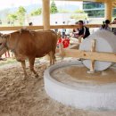 연자방아 이미지