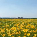 부여IC(공주)