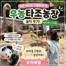 파주 우농타조농장 후기｜4살 아이와 다녀온 솔직후기! 입장료·먹이체험·방문팁
