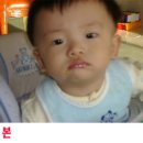 선명복사 이미지