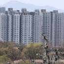 새들기획