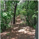 신동주유소 이미지