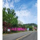 영천시 그린환경센터 이미지