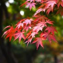 가족과함께 이미지