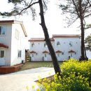 부엉이네 펜션 이미지