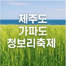 제주도+가파도[청보리+왕벚꽃+유채꽃]예약/좌석배치(4월3일~5일) 이미지