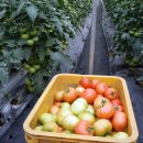 스테이무릉도원 이미지