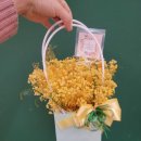 향기나는 화원 이미지