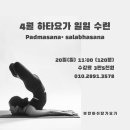 하타요가 이미지