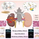 한양사이버대학교 휴먼서비스대학원 이미지