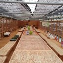 신예랑어린이집 이미지