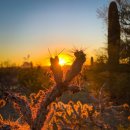 시인과촌장 이미지