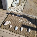 백령로 212 | 백령도 가볼만한곳 콩돌 해변 바닷물에 오랜 시간 깍인 돌이 있는 곳