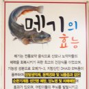 일죽당촌길 | 안성 생선국수 맛집 16개월 아기랑 매운탕 맛집 시골집 생선국수 후기