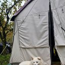 사은로 126번길2 | [196th..캠핑]용담저수지 산책과 함께하는 용인 숲속의 아침 캠핑장 장박이야기-2(반려견동반)