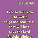2025-11-19연중 제33주간 수요일＜그렇다면 어찌하여 내 돈을 은행에 넣지 않았더냐?＞ 이미지