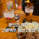 2호선 광안역 | 광안리 신상 핫플 간빠맥주 2호점 후기 내돈내산
