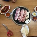 캠프M817 이미지