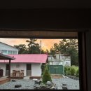 강릉초이 이미지