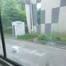 청소가만들세상
