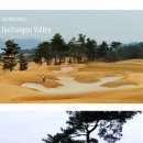 디 라운드 이미지