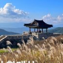 더리터고령점 이미지